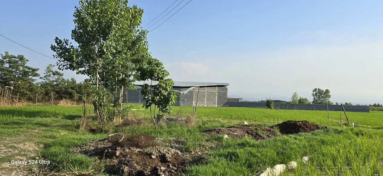 زمین کشاورزی
