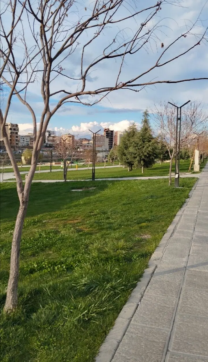250متر زمین تجاری در شهرک سپاه