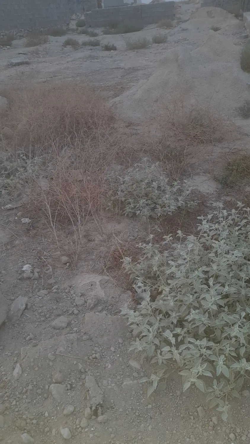 فروش زمین دهقاید