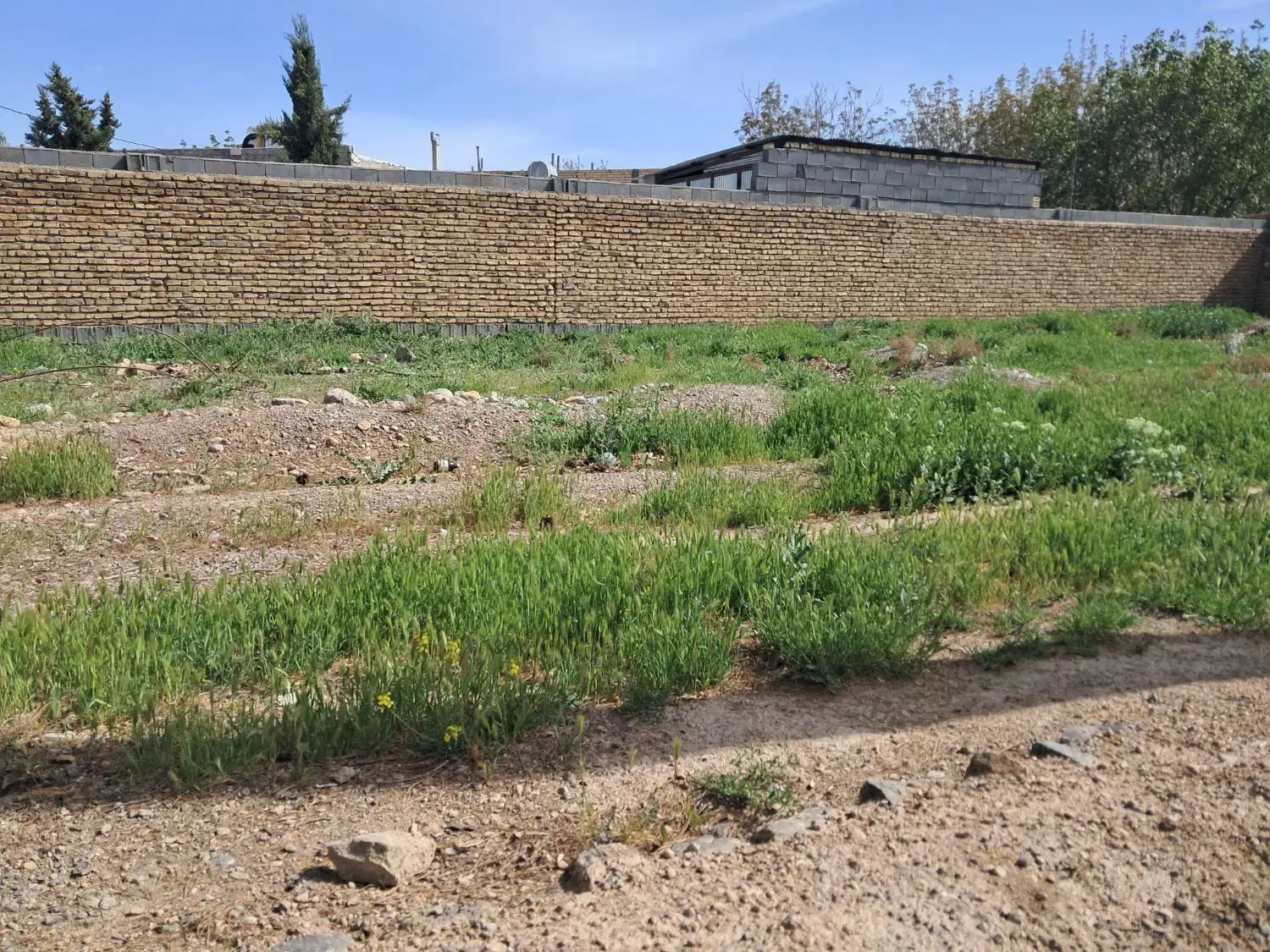 زمین تجاری