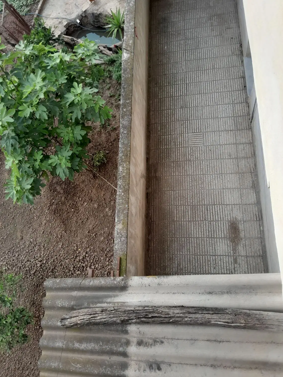 خیابان آیت (اجاره یک باب خونه حیاطی دربستی )