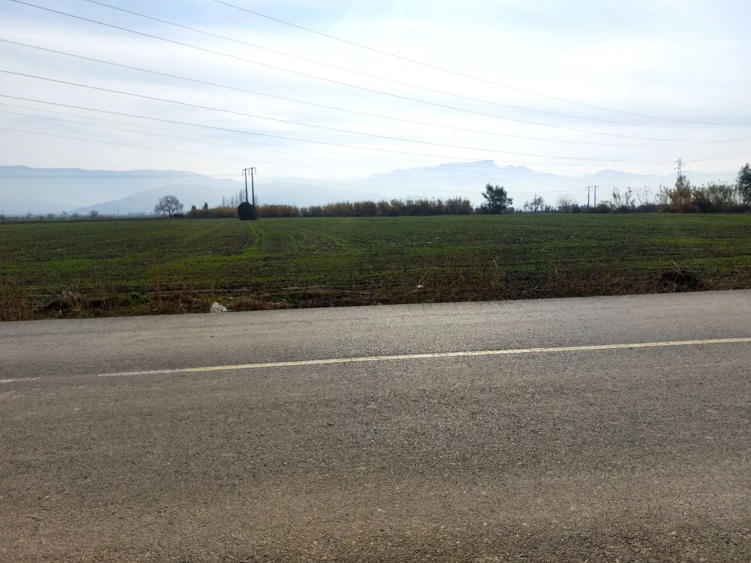 زمین کشاورزی