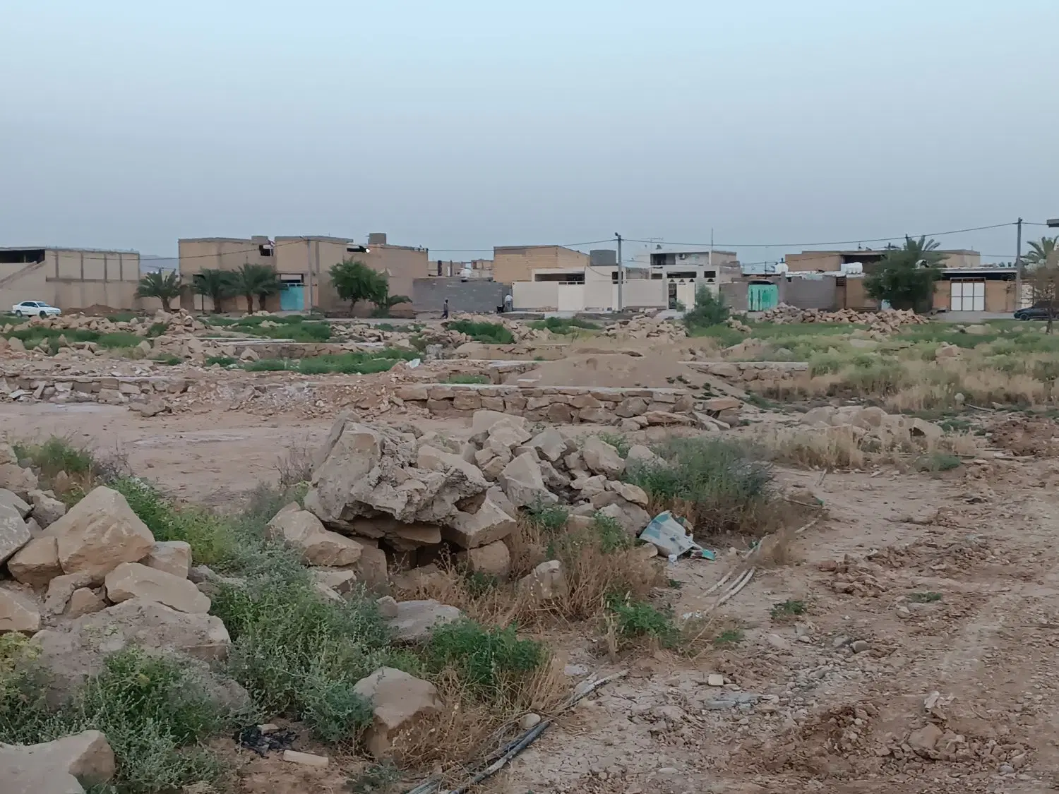زمین دونه قیمت مناسب