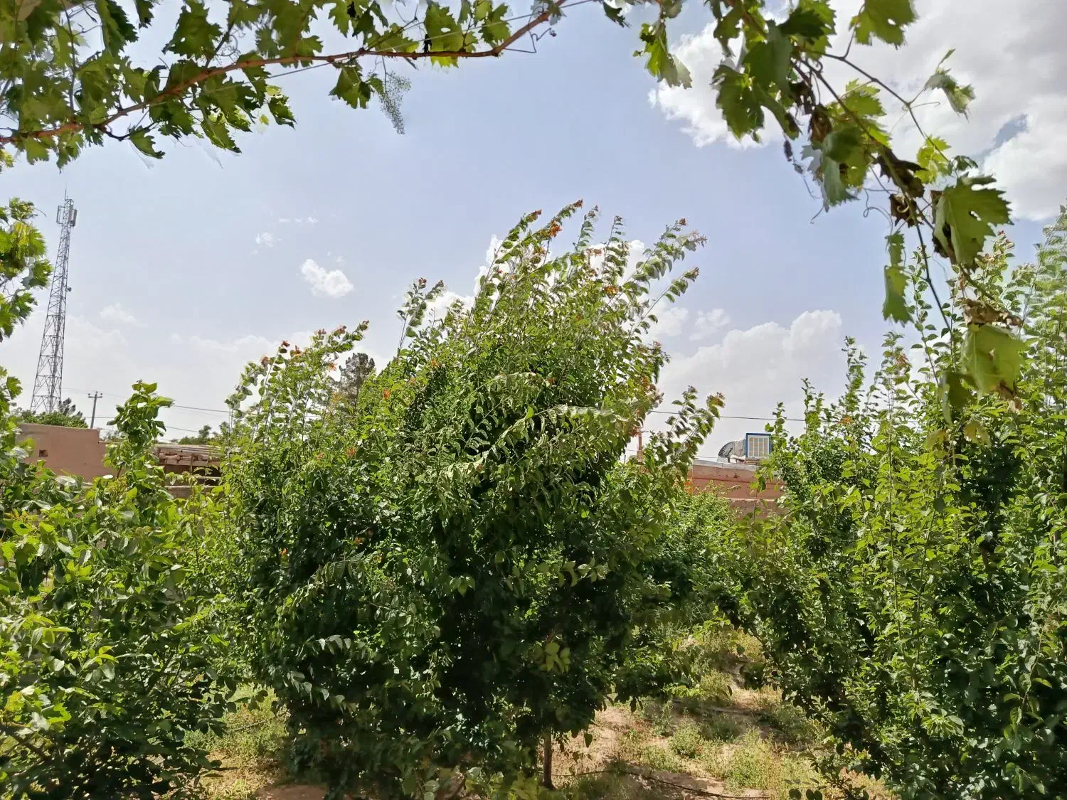 منزل ویلایی فروشی