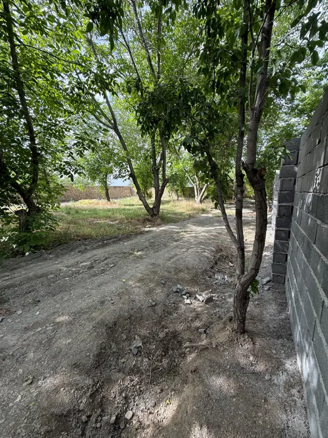 باغ سنددار ابتدای جاده شاندیز