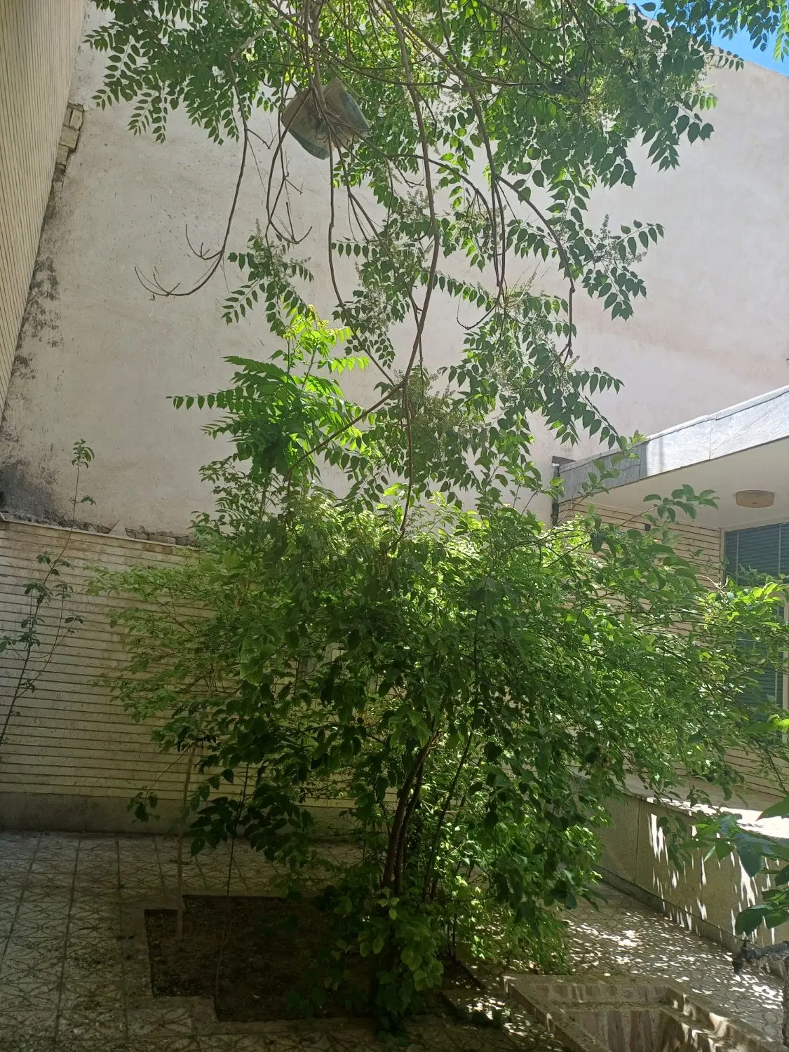 ۲۴۰ متر منزل ویلایی خیابان سهروردی
