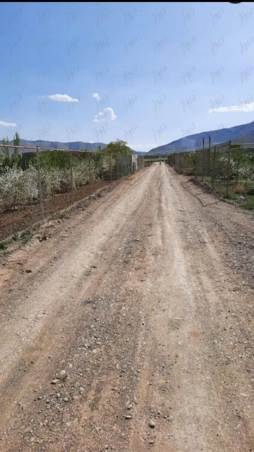 زمین باغی