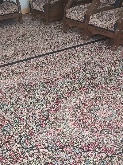 همخونه خانوم