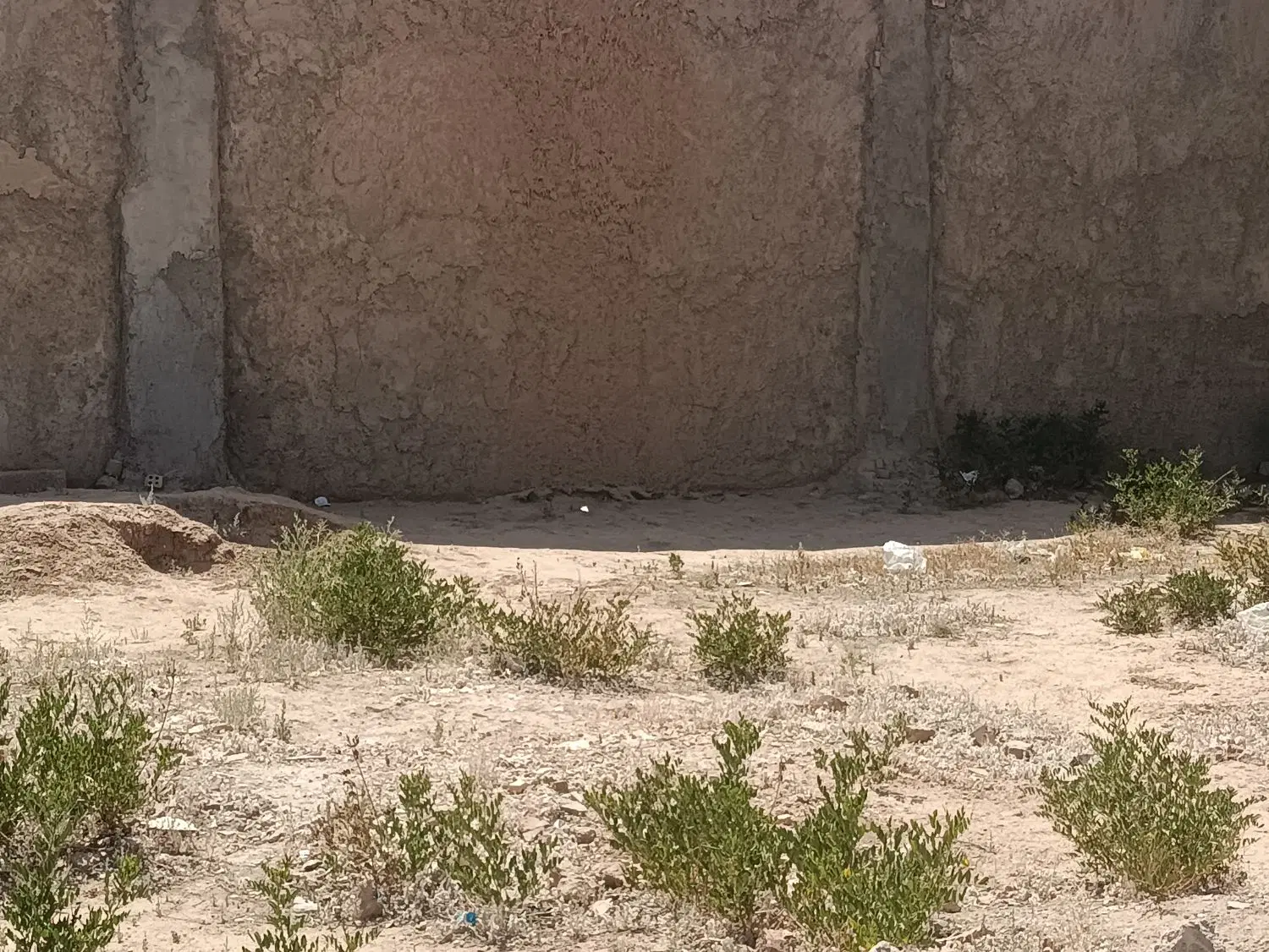 زمین دورش حصارکرده