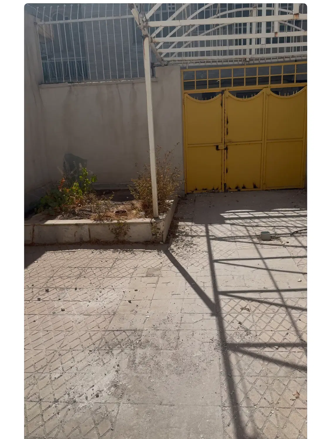 اجاره ی حیاط باشگاه برای کافه کتاب بانوان