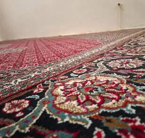 هم خونه شرکتی مجرد