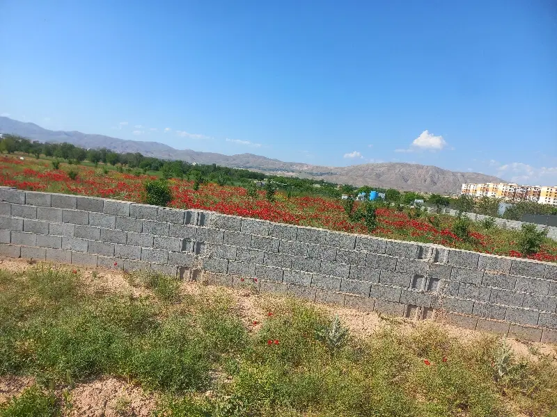 ویلایی ۱۲۰ متری کلاته یاور