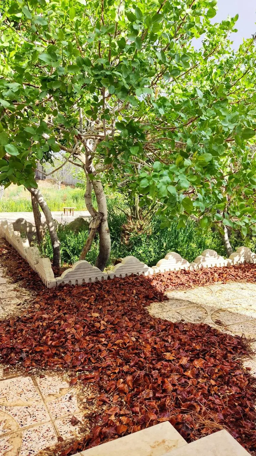 خانه ویلایی