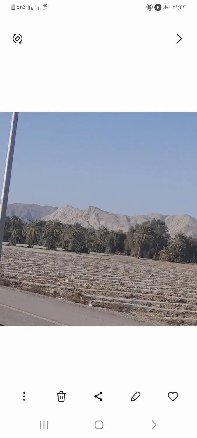 زمین تجاری هور