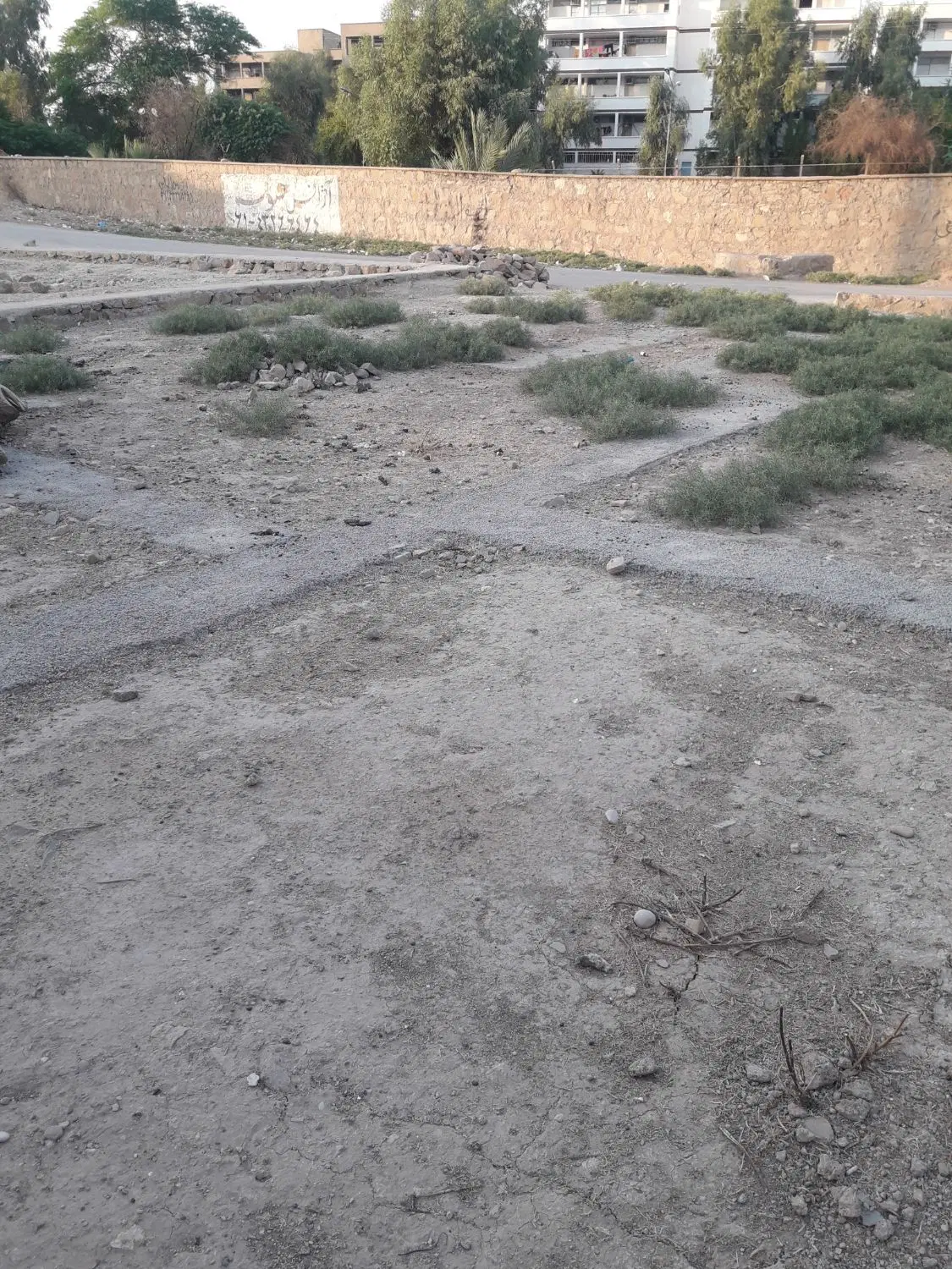 زمین