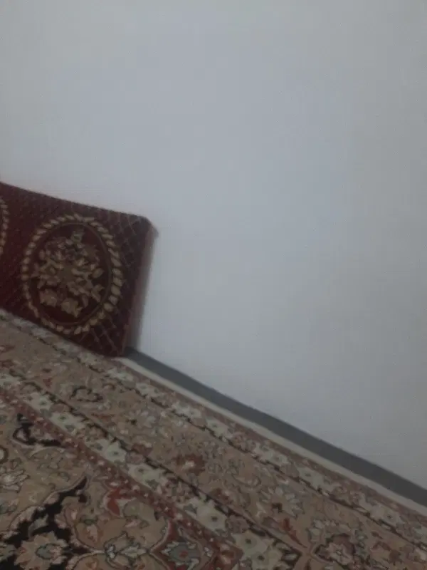 زمین ۳ فرزندی طرح مادرانه