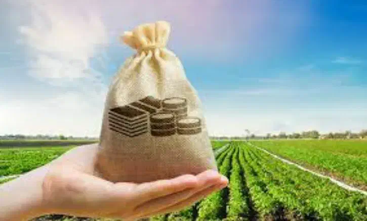 شرکت باسکول خریدار زمین کشاورزی متری ۳۰۰هزار