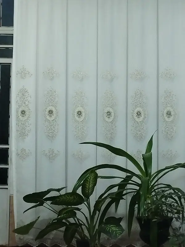 رهن و اجاره طبقه بالا