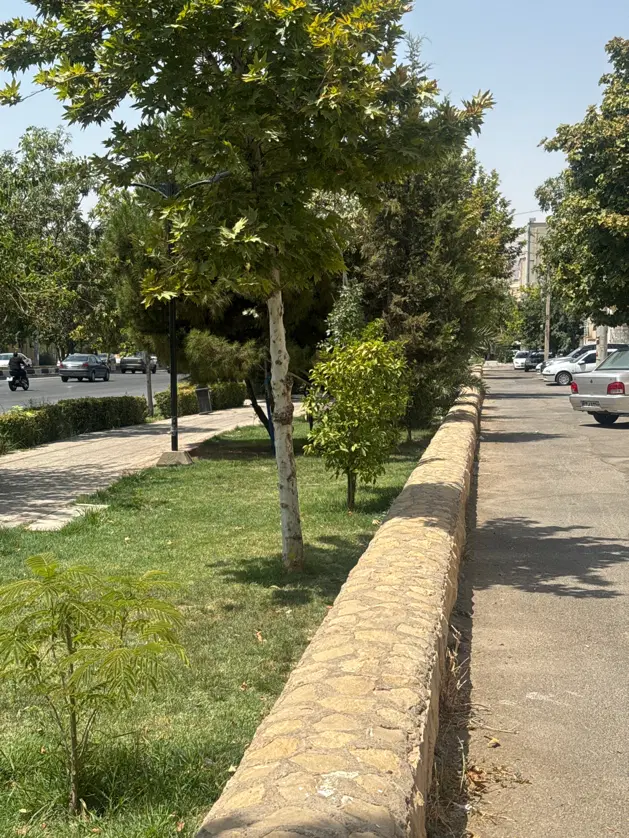 زمین تجاری مسکونی دوبر بربلوار اصلی