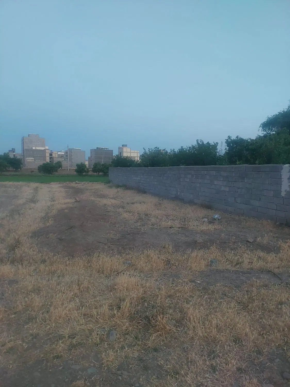 زمین