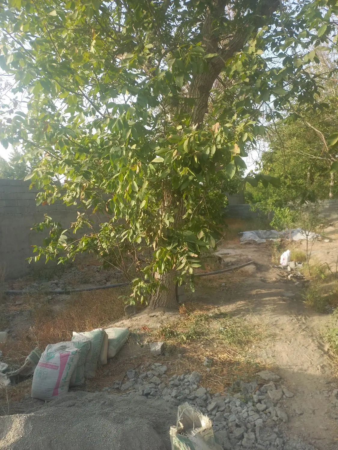 باغچه