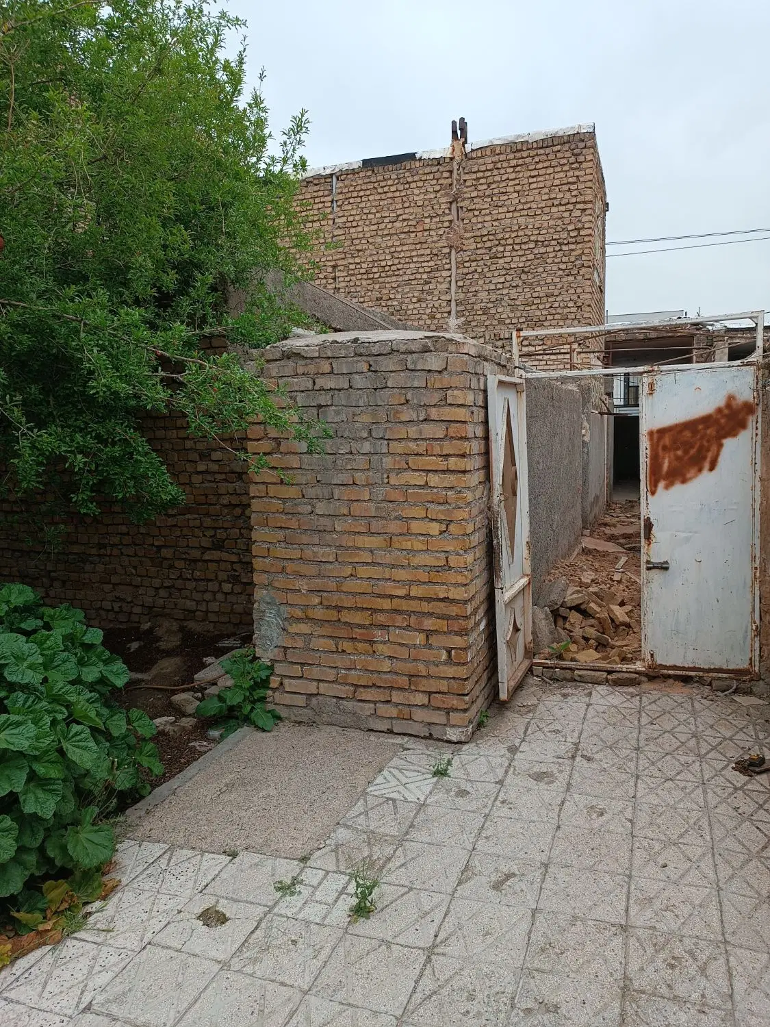 شراکت