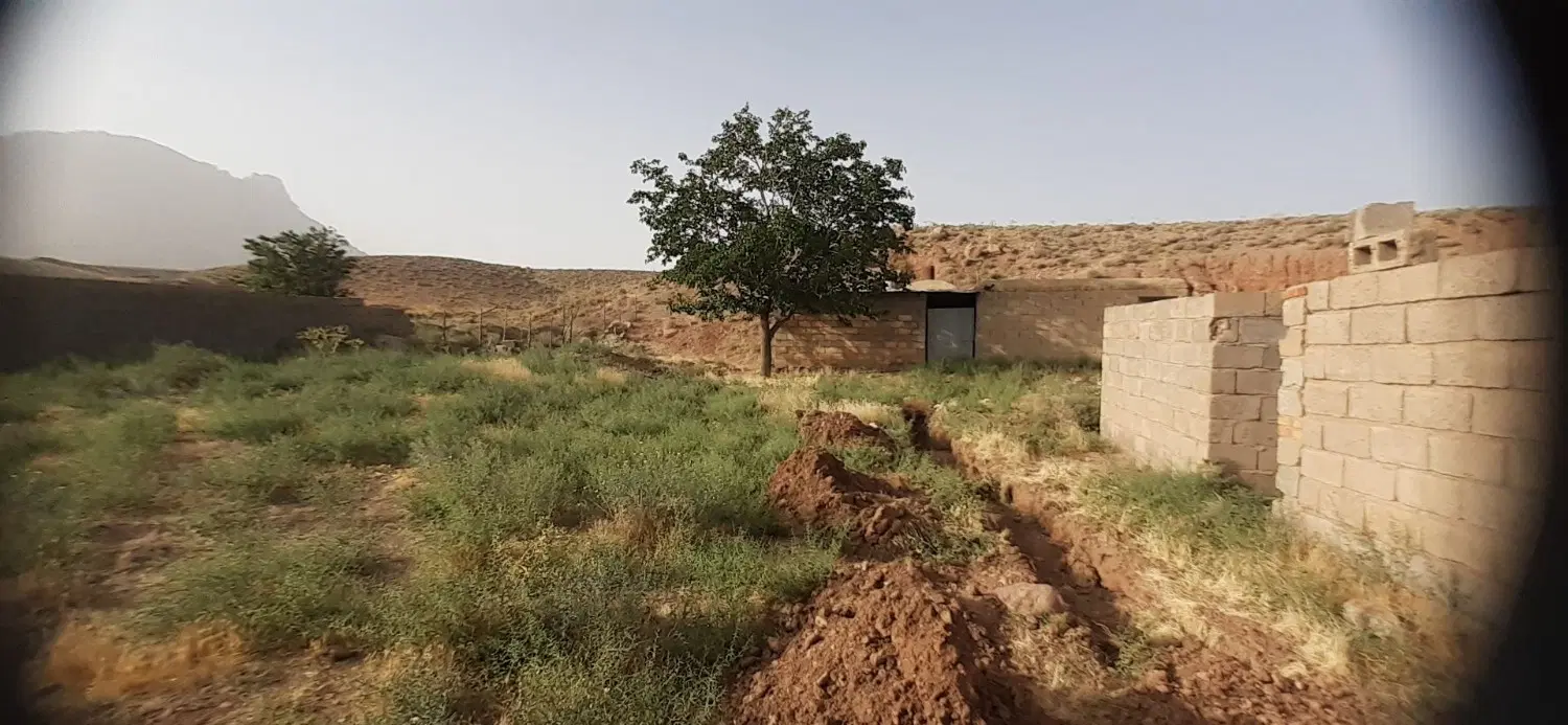 مرغداری