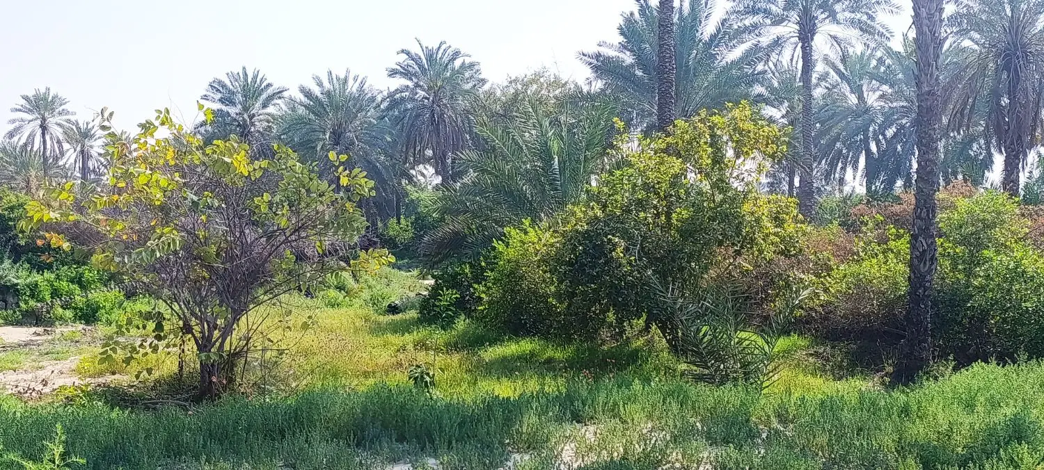 ۹۰۰۰متر