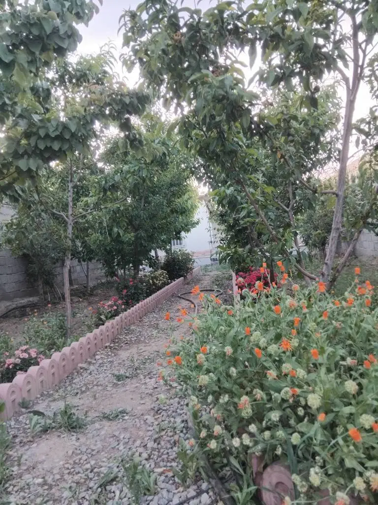 باغ ویلا