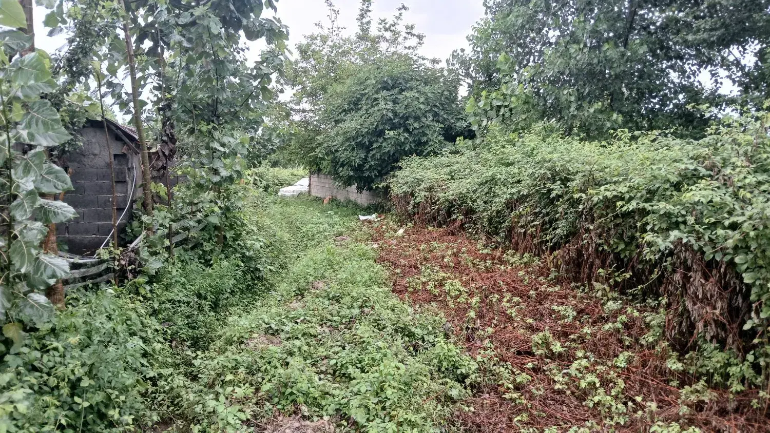 ۲۰۰مترزمین باغی مسکونی موقعیت روستایی