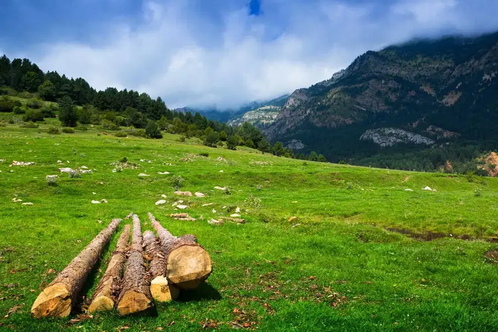 ماسال میله سرا زمین ۲۶۵ متری  دارای جواز