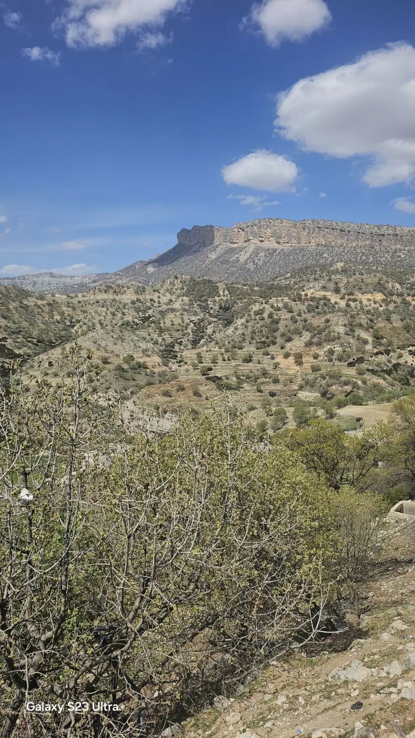 زمین تجاری دشتروم
