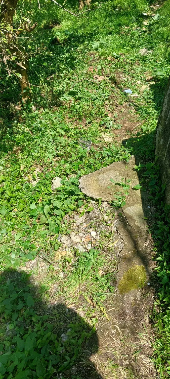زمینی به مساحت ۶۴۰۰ متر با سند و آب و برق و گاز