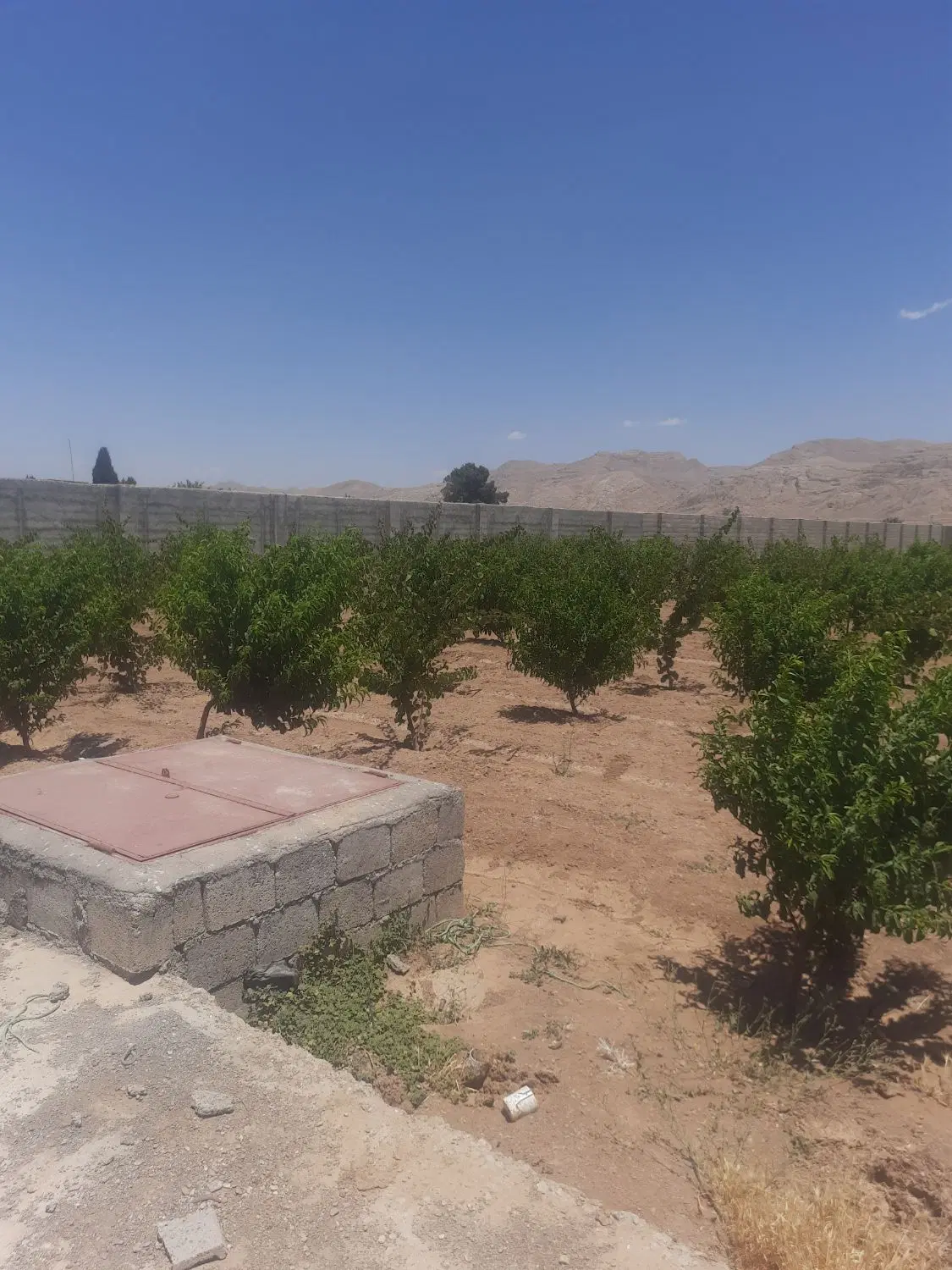 زمین چهار دیواری کشاوزی مشجر قابل معاوضه