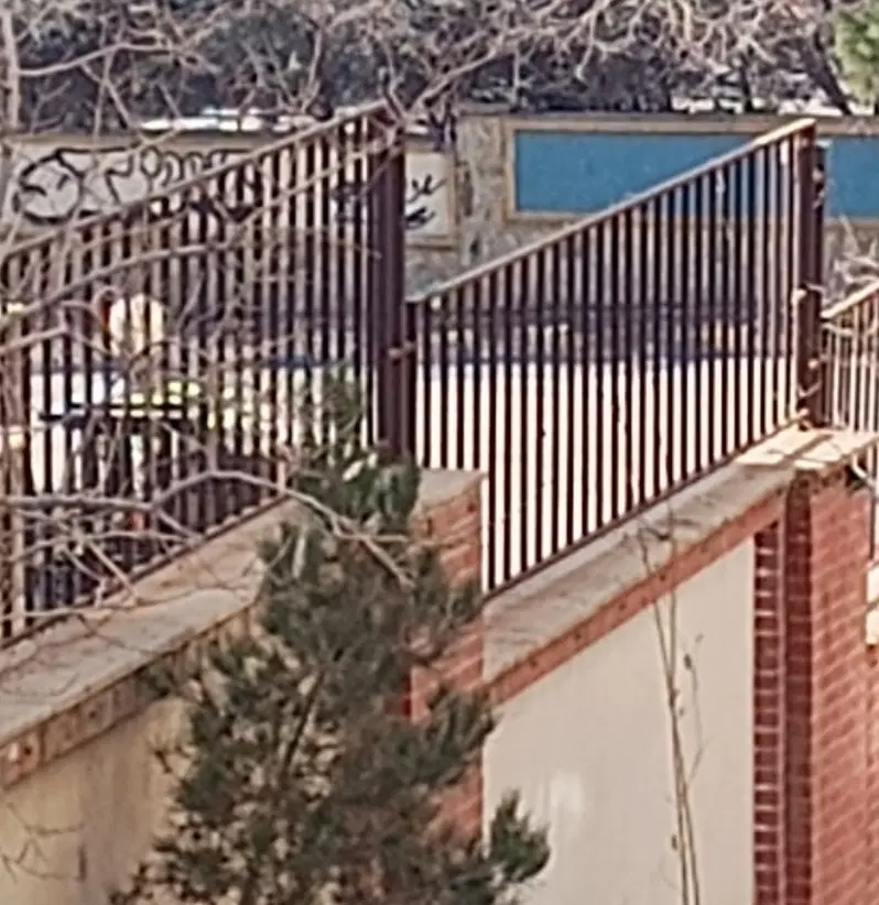 همخونه آقا پردیس، میدان عدالت