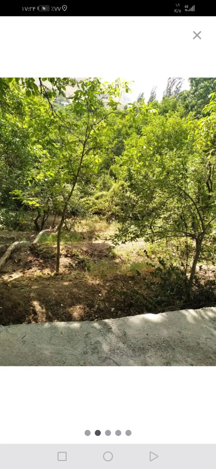 فروش باغچه مساحت 262 متر