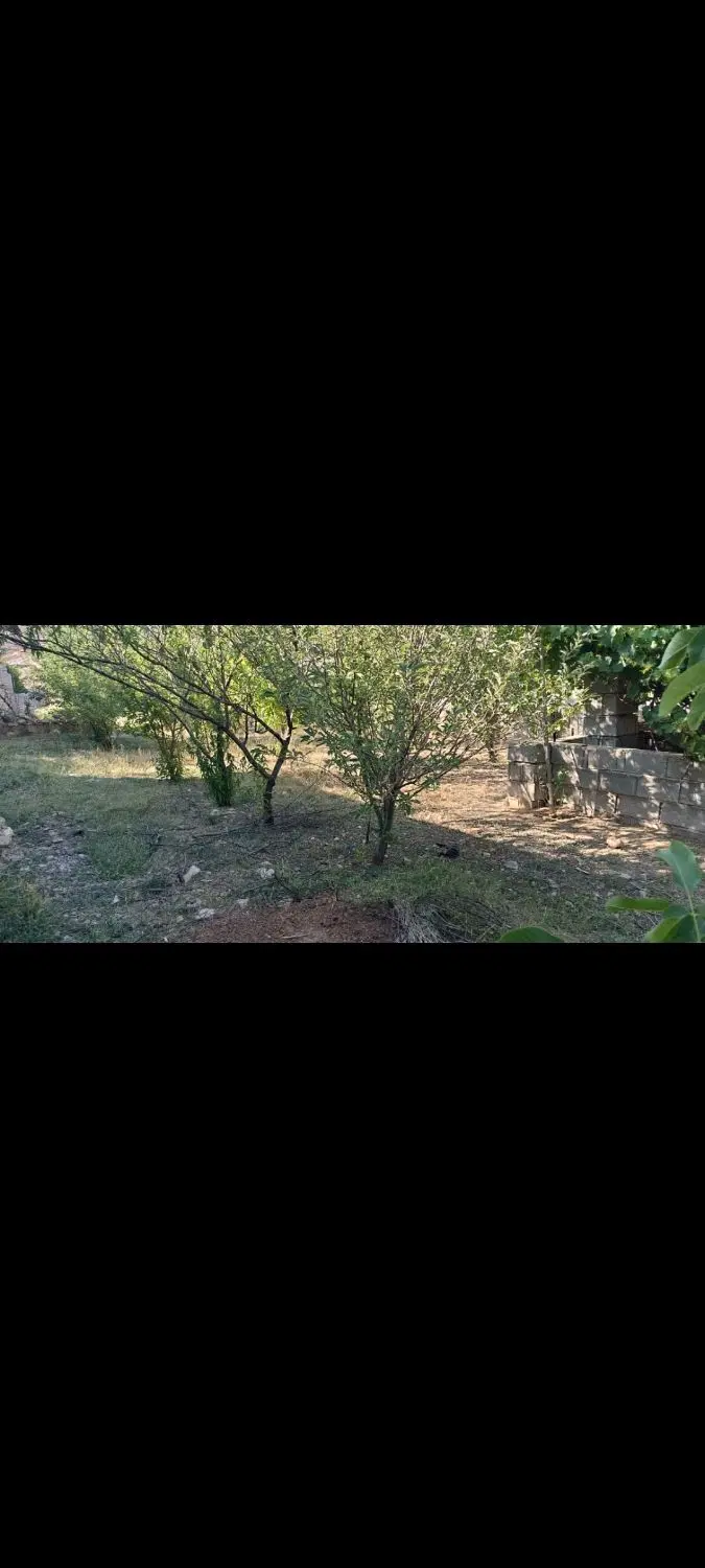 ارزانترین خونه باغ یاسوج