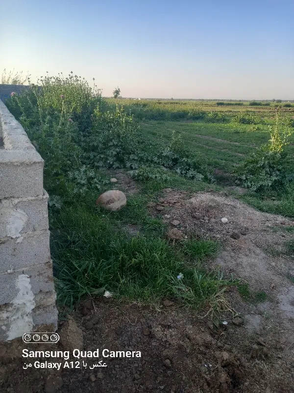 فروش زمین