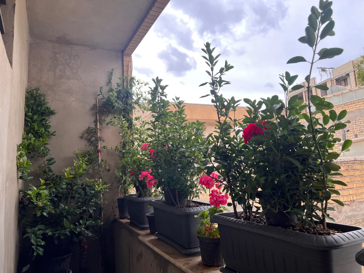 اجاره منزل ویلایی بازسازی خیابان شبان
