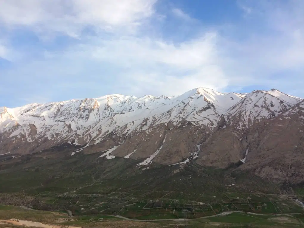 یک قطعه زمین زراعی - باغی