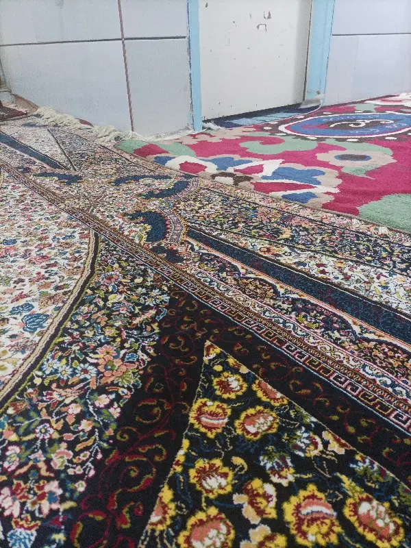 آپارتمان تک خواب