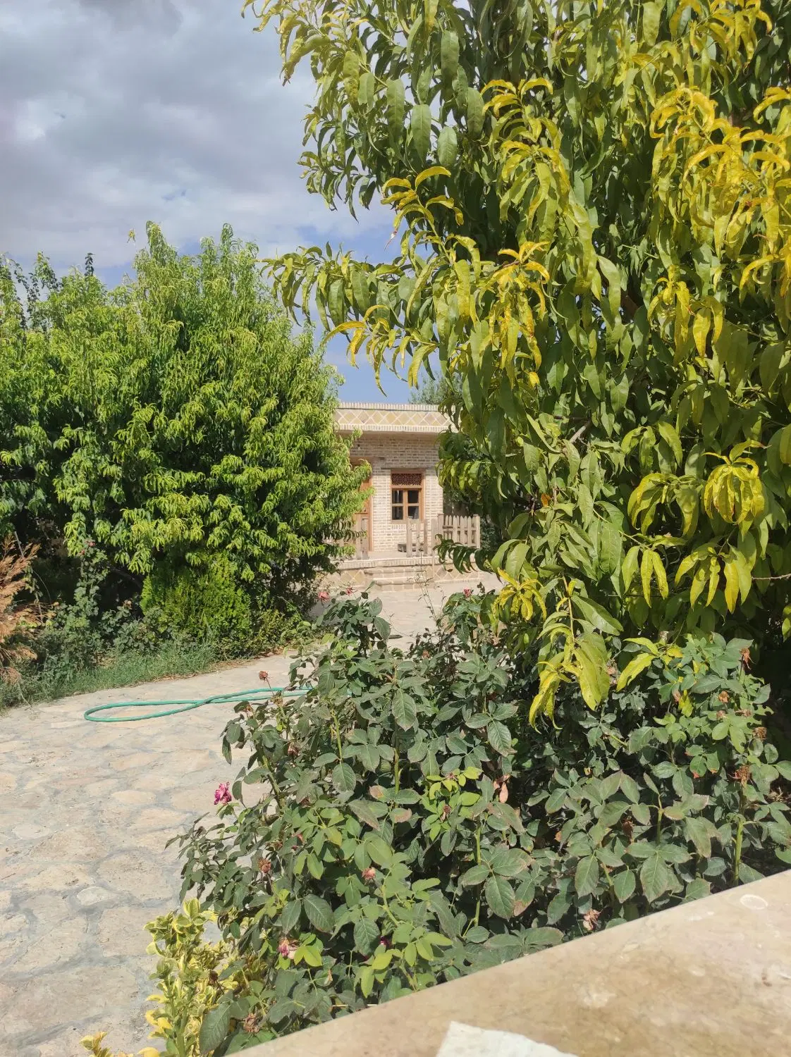 فروش و معاوضه
