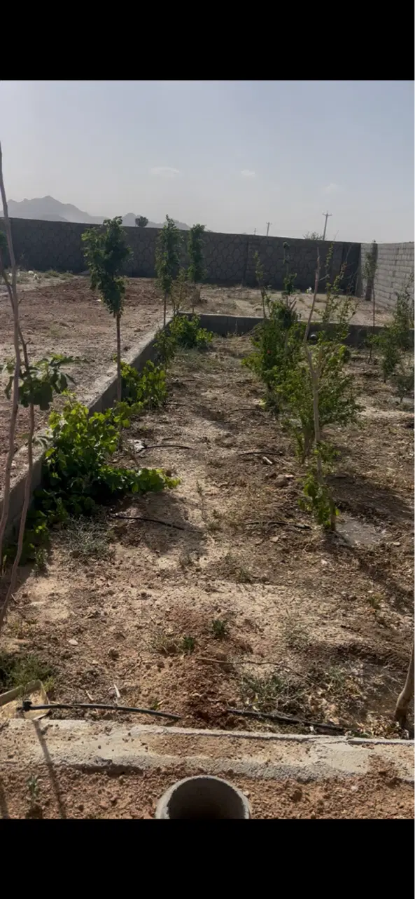 باغ نیمه ساز