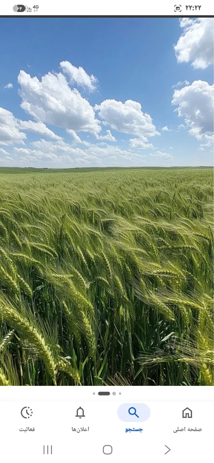 سه نیم هکتار زمین خاک مرغوب