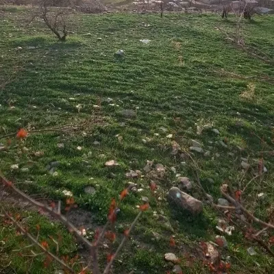 زمین باغ خمره ای