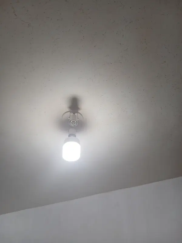 یک نفر هم خانه نیازمه بام زندگی گنه