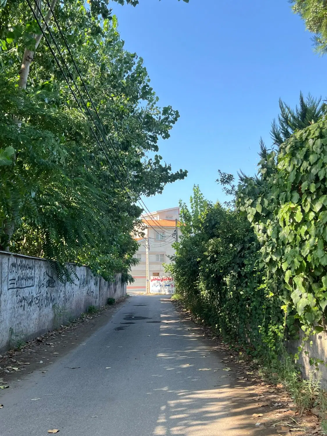 زمین ساحلی منطقه آزاد انزلی