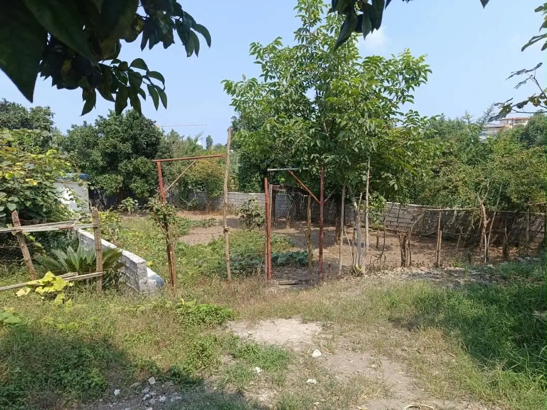 زمین ۱۹۱ متری