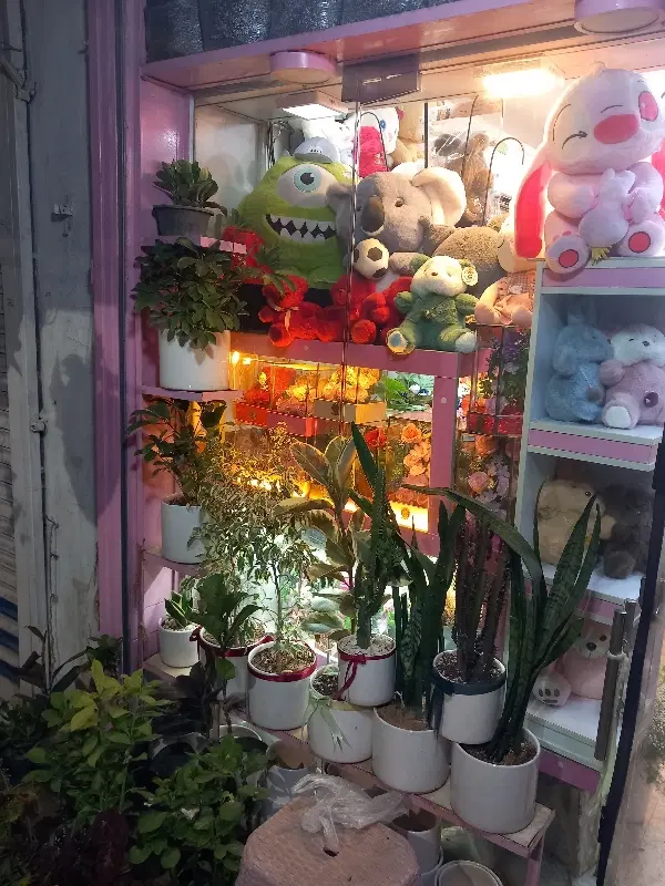 واگذاری مغازه گلفروشی