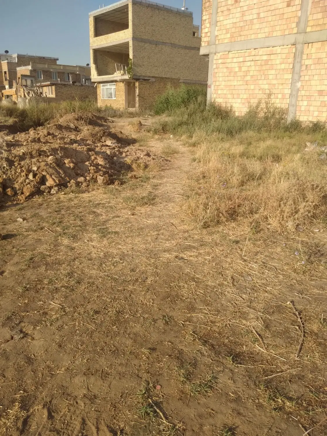 زمین در گل سرخ